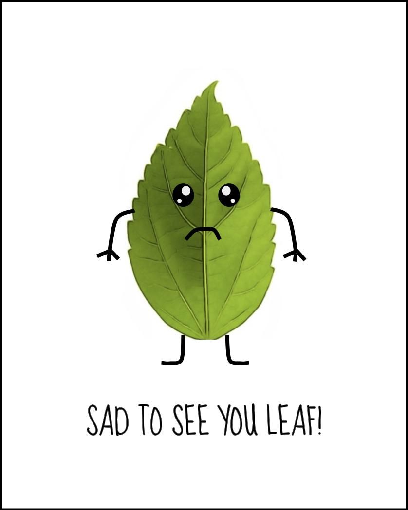 Card design "Sad to see you leaf funny office leaving card"