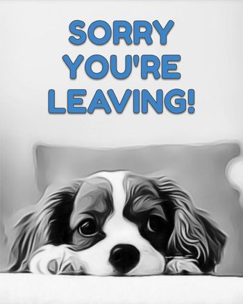 Use Sorry you're leaving - dog