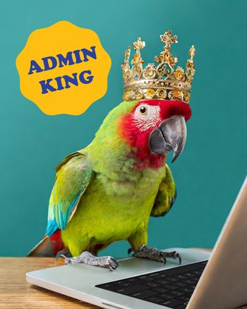 Use Funny animal admin day card