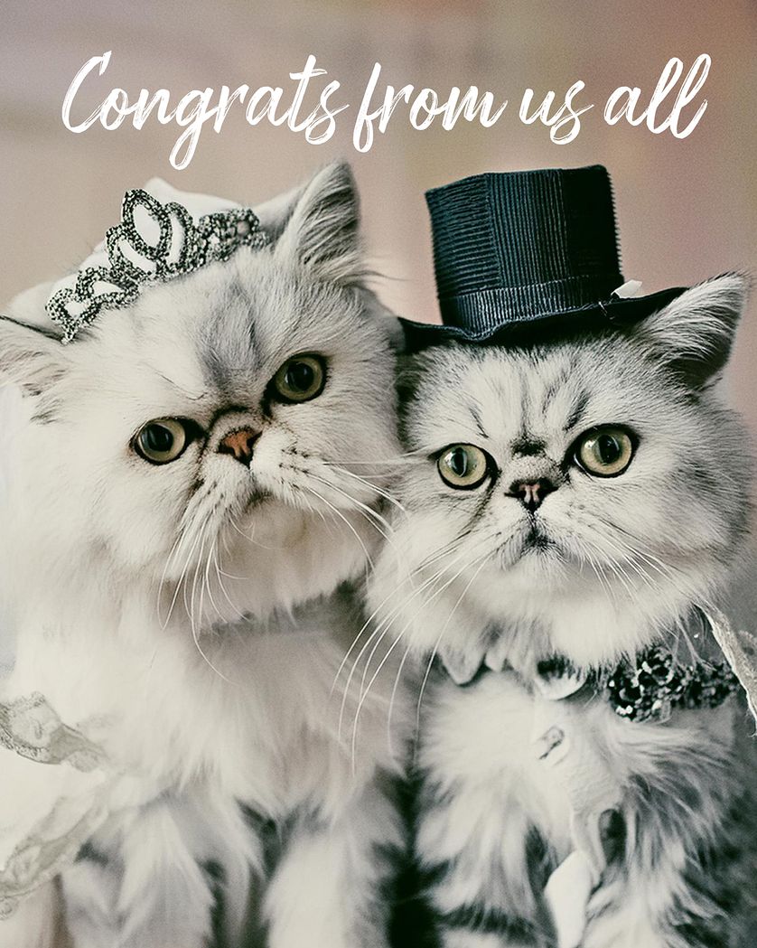 Card design "Wedding Cats"