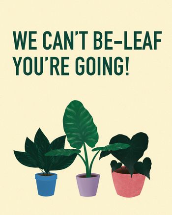 Use Indoor plants - group leaving card