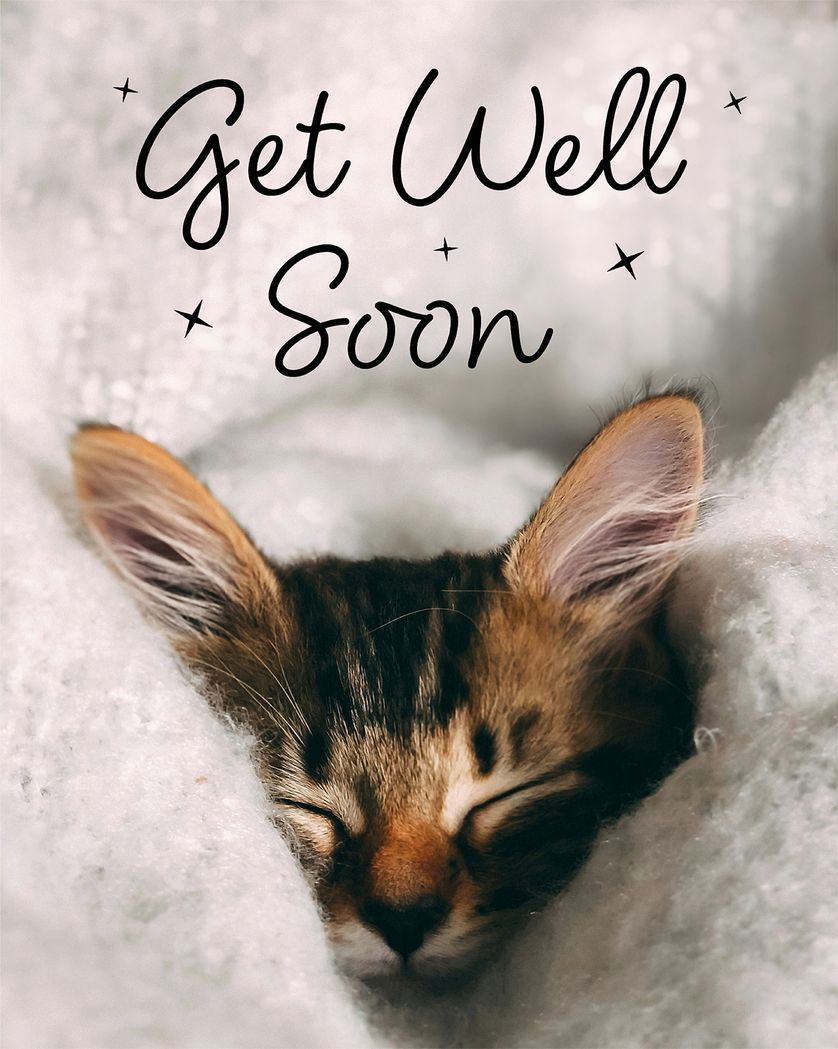 Card design "Cute kitten - Group Get Well ecard"