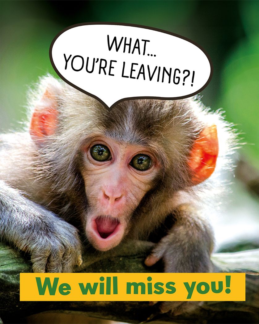 Card design "Shocked monkey - Group leaving ecard"