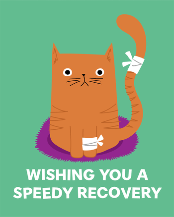 Use cute injured cat - group get well ecard