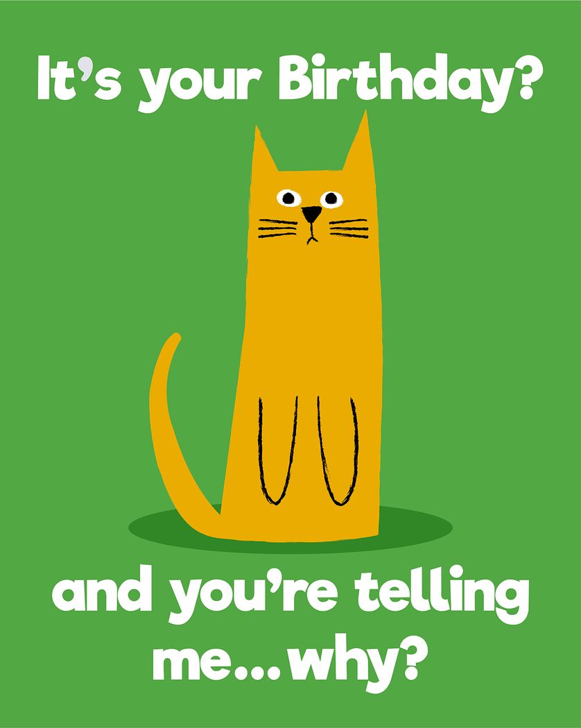 Card design "Orange cat doesn't care - group birthday ecard"