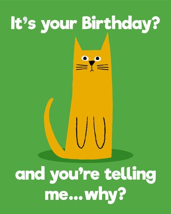 Use Orange cat doesn't care - group birthday ecard