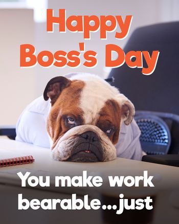 Use Bored bulldog group boss day ecard