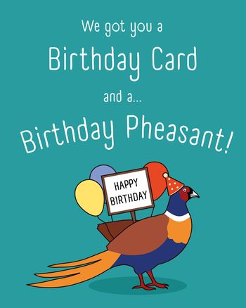 Use Birthday Pheasant - Group Birthday ecard