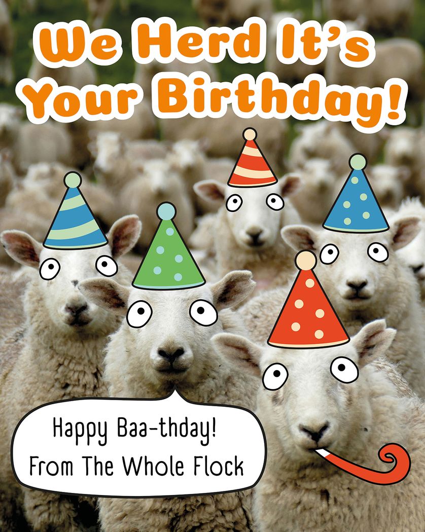 Card design "Sheep - group birthday ecard"