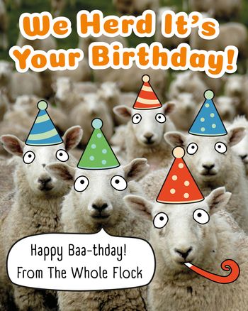 Use Sheep - group birthday ecard