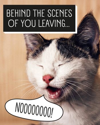 Use Sad cat - group leaving ecard