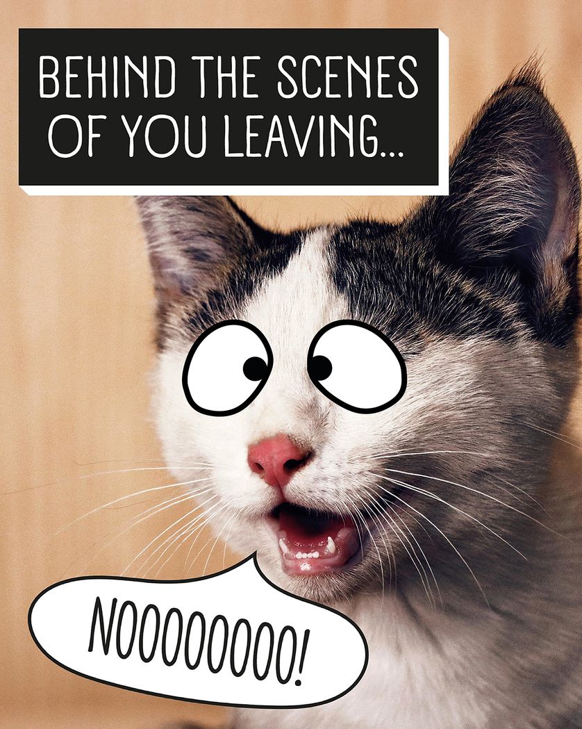 Card design "Devastated cat - group leaving ecard"