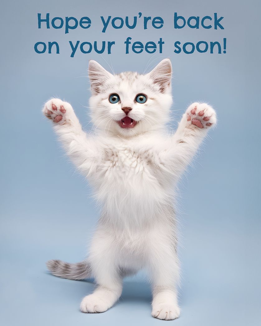 Card design "Standing kitten - group get well ecard"