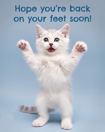 Use Standing kitten - group get well ecard