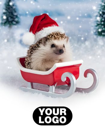 Use Sledgehog - personalised group christmas card