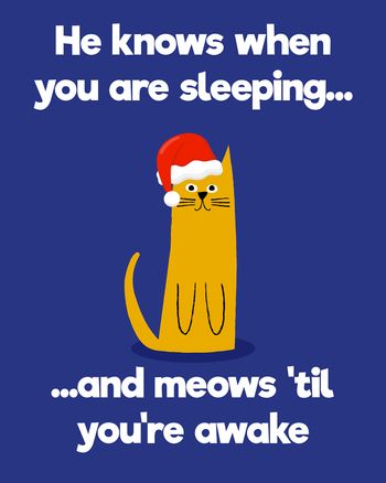 Use Christmas cat  - group festive ecard