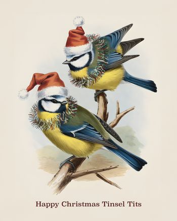 Use Rude Birds - Group Christmas ecard