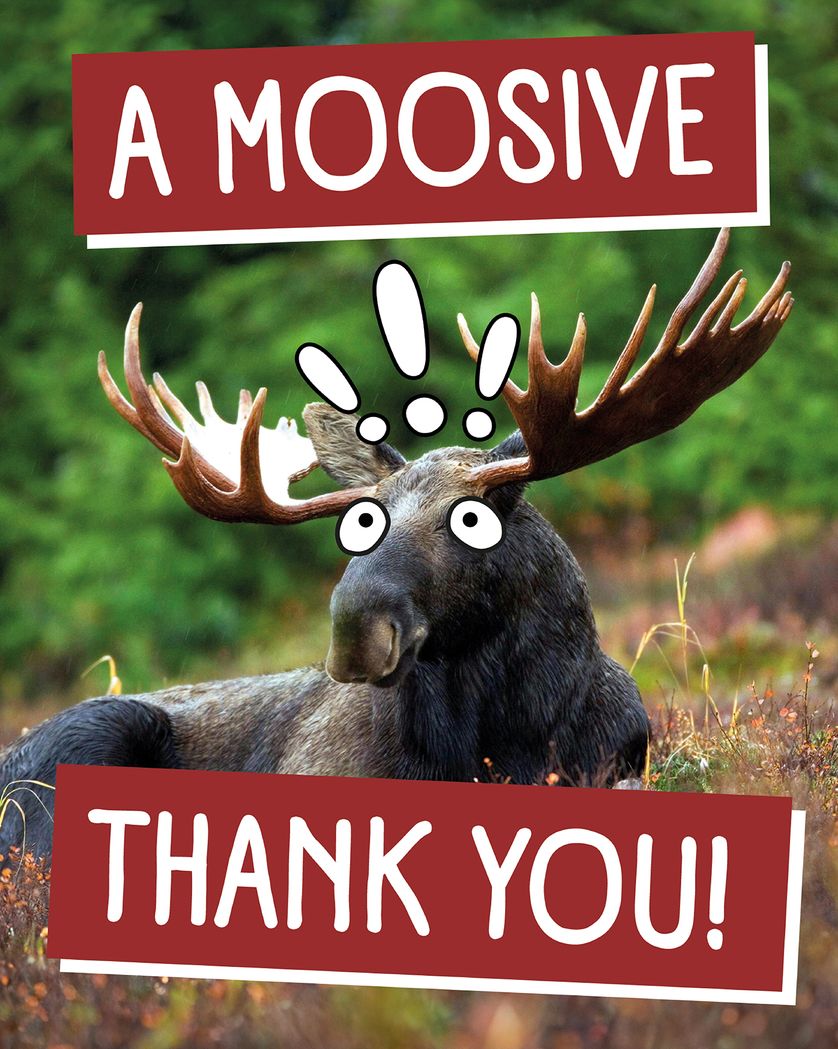 Card design "Moosive thank you - group ecard"