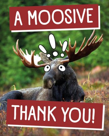 Use Moosive thank you - group ecard