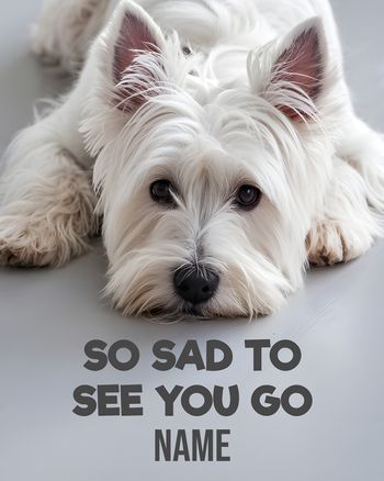 Use Puppy dog eyes - personalised group ecard