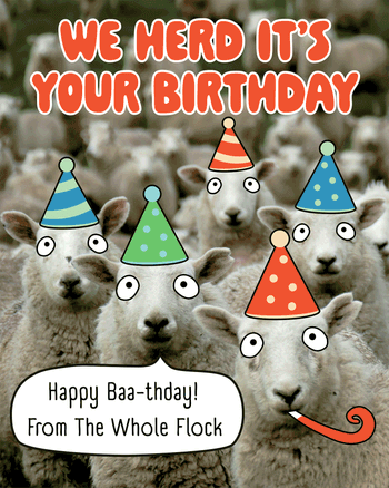 Use Happy Baa-thday - group Birthday ecard