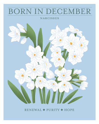 Use Birth flower December - group birthday ecard