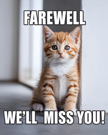 Use Sad kitten - group leaving ecard