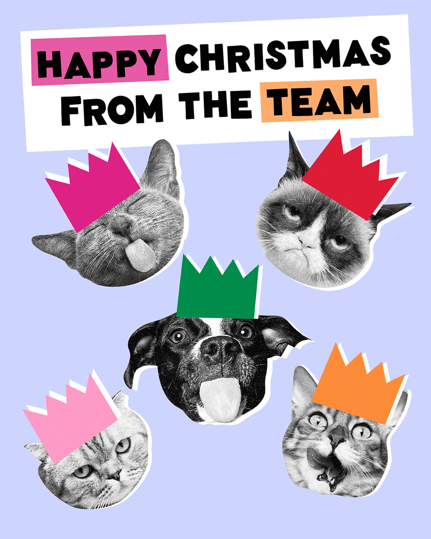 Card design "Christmas Kitties - group festive ecard"