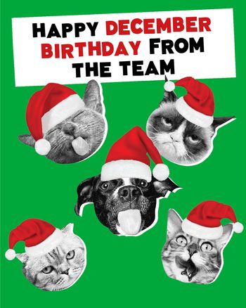 Use Santa Cats  - group birthday ecard