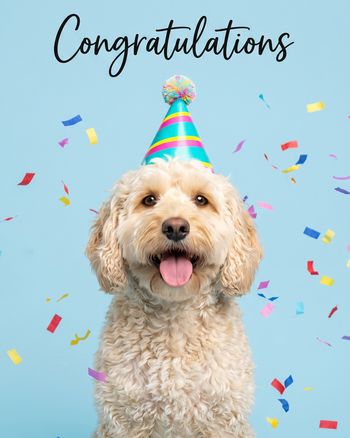Use Woofy congrats - group ecard